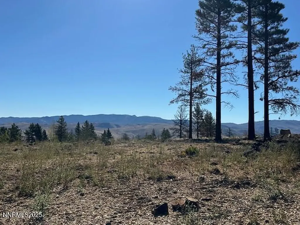 605 Sand Cherry Reno NV 89511