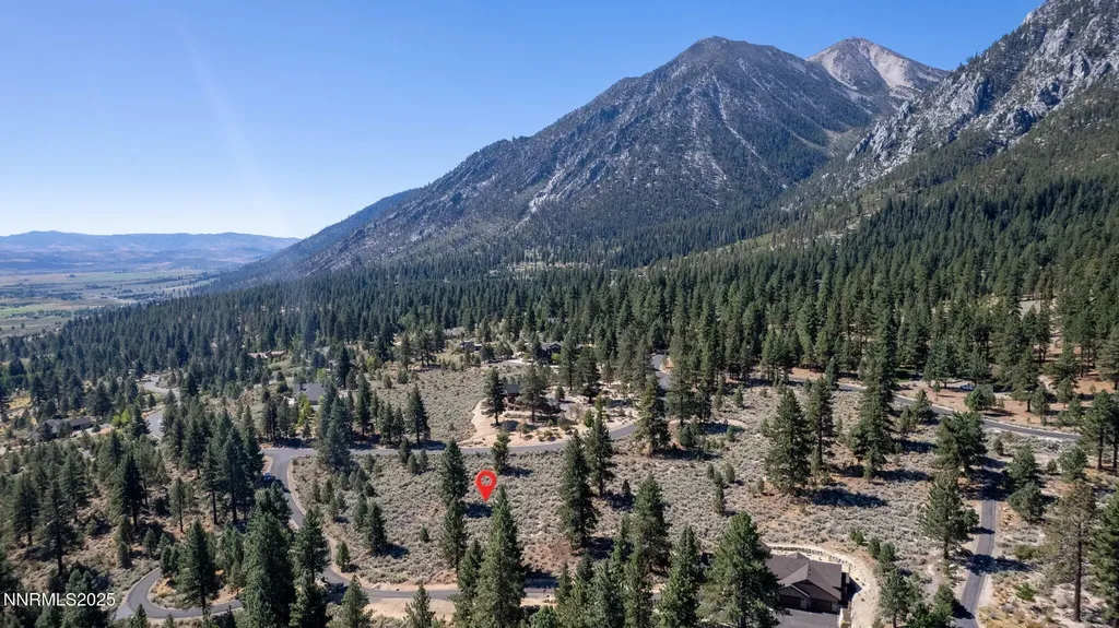 880 Stutler Creek Gardnerville NV 89460