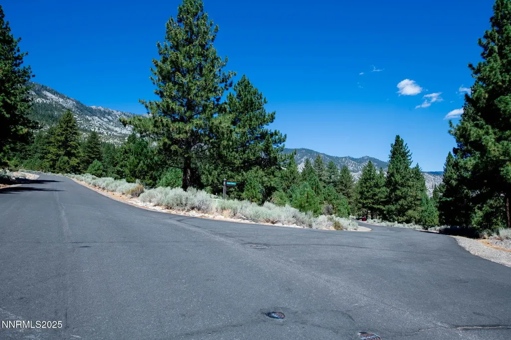 880 Stutler Creek Gardnerville NV 89460