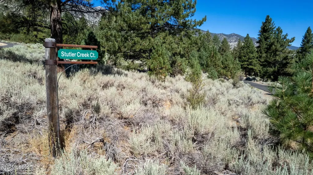 880 Stutler Creek Gardnerville NV 89460