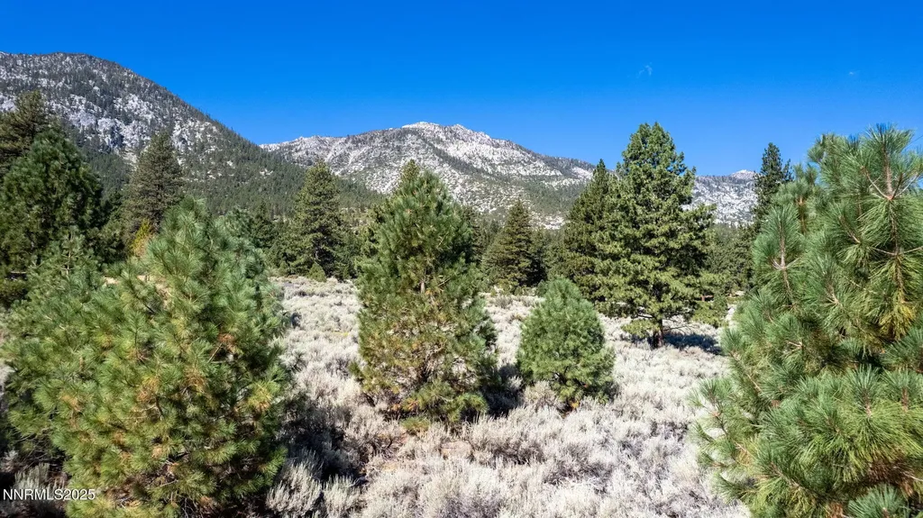 880 Stutler Creek Gardnerville NV 89460