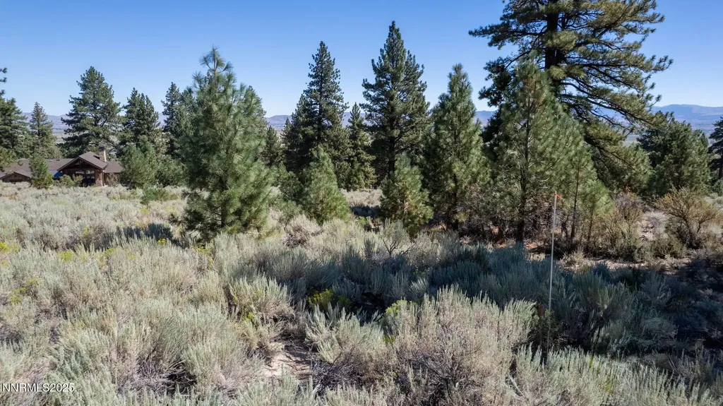 880 Stutler Creek Gardnerville NV 89460