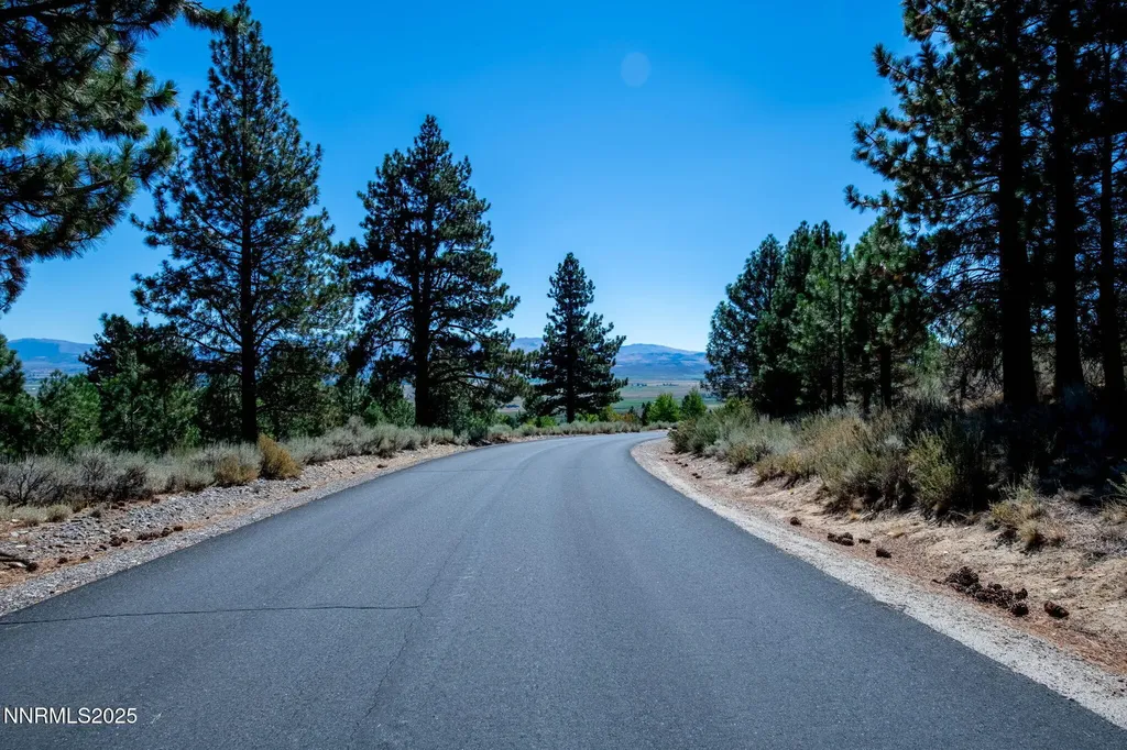880 Stutler Creek Gardnerville NV 89460