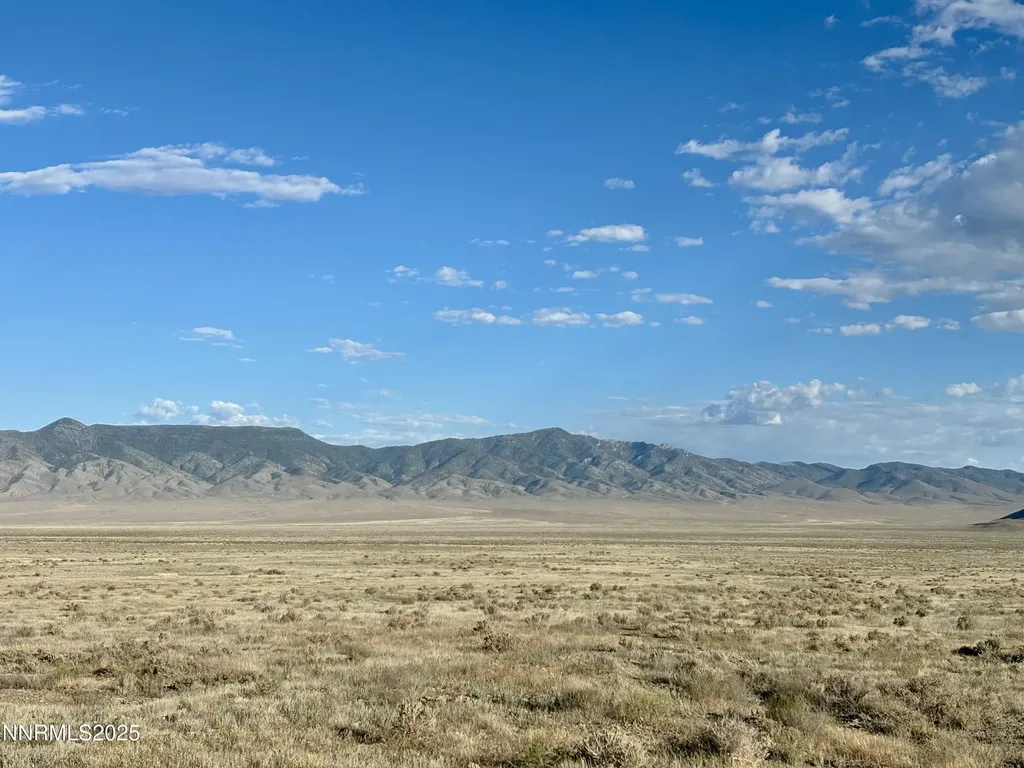 80 Acres Innmans Lovelock NV 89419