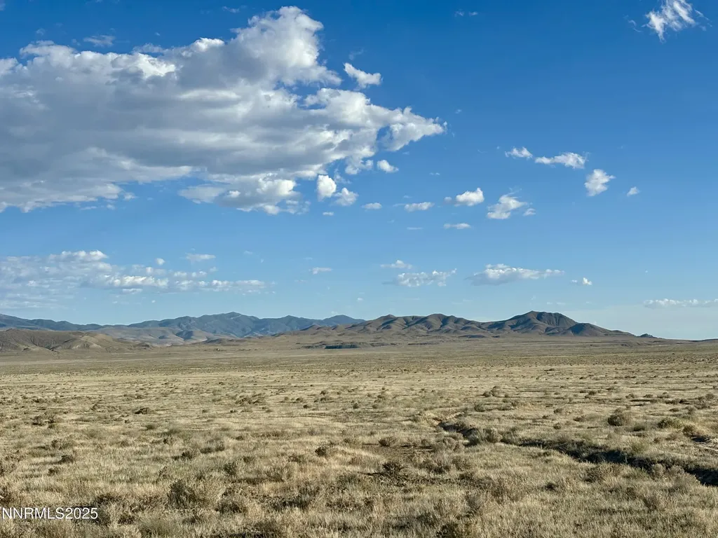 80 Acres Innmans Lovelock NV 89419