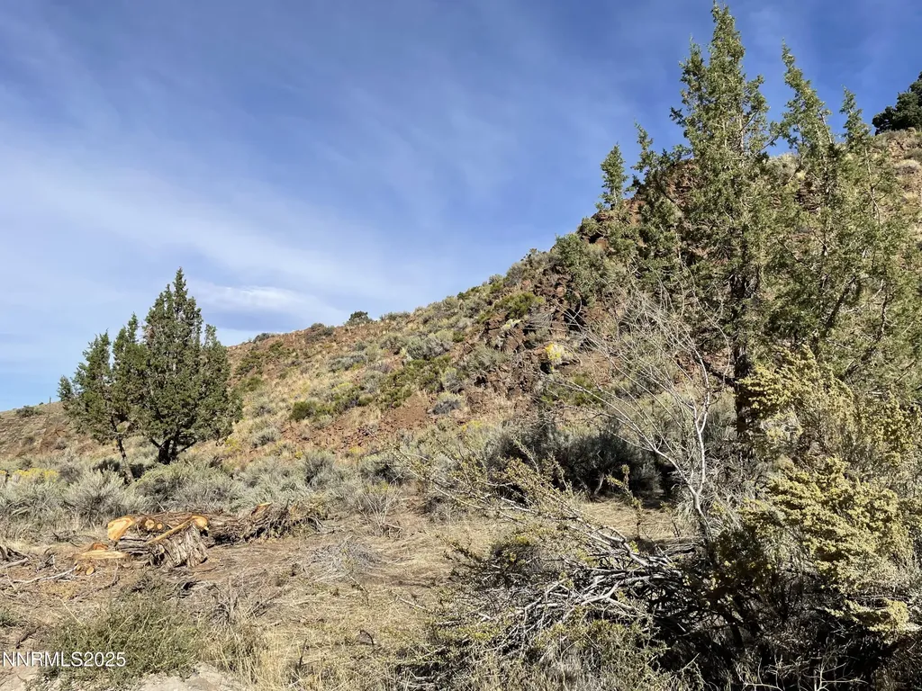0 Quaking Aspen Reno NV 89510