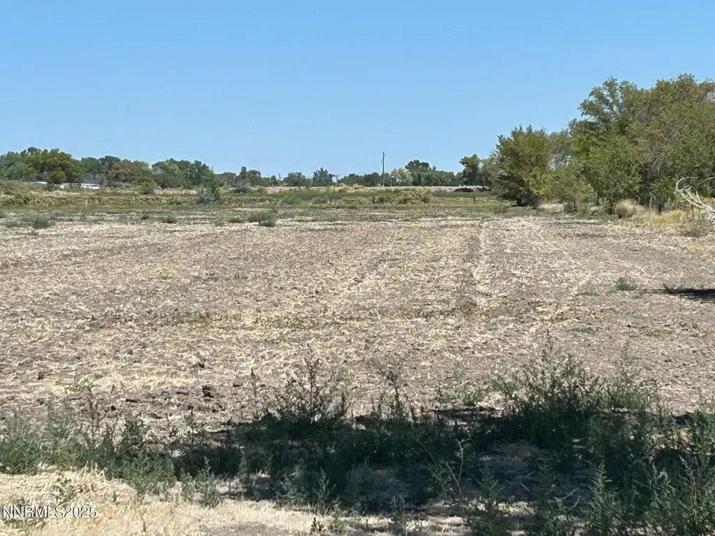 604 Serpa Fallon NV 89406