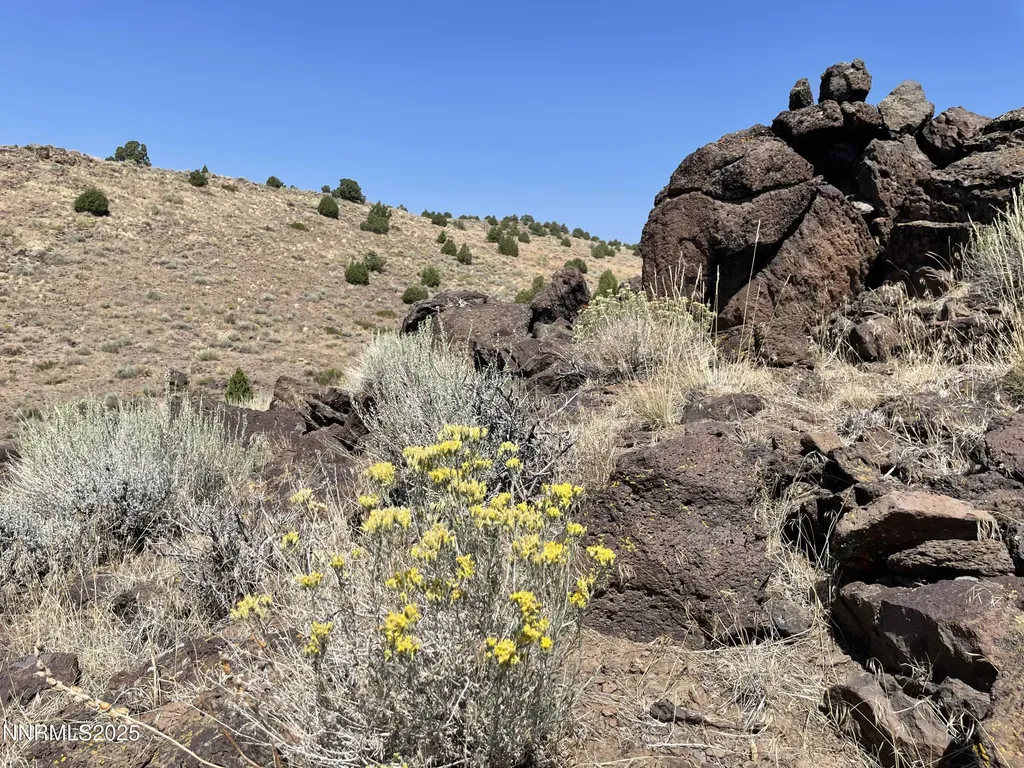 0 Quaking Aspen Reno NV 89510