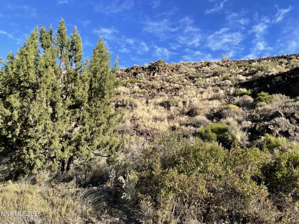 0 Quaking Aspen Reno NV 89510