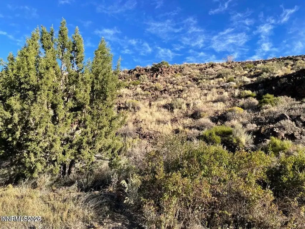 0 Quaking Aspen Reno NV 89510