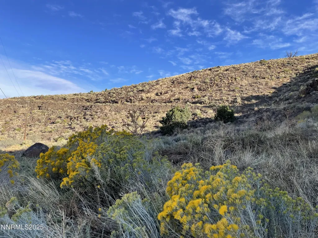 0 Quaking Aspen Reno NV 89510