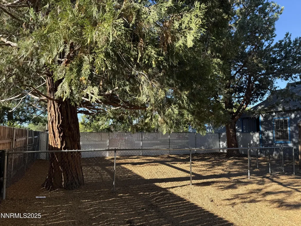 510 John Carson City NV 89706