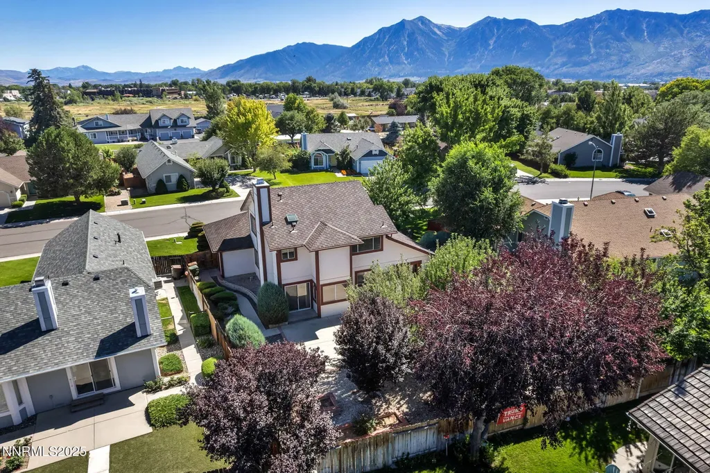 1701 Lantana Minden NV 89423