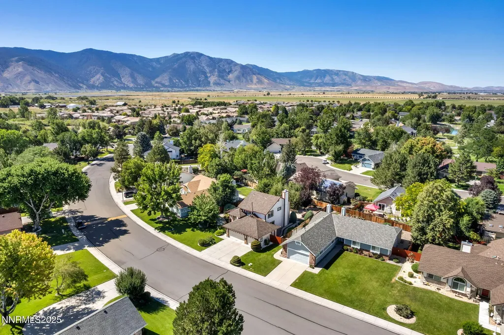 1701 Lantana Minden NV 89423