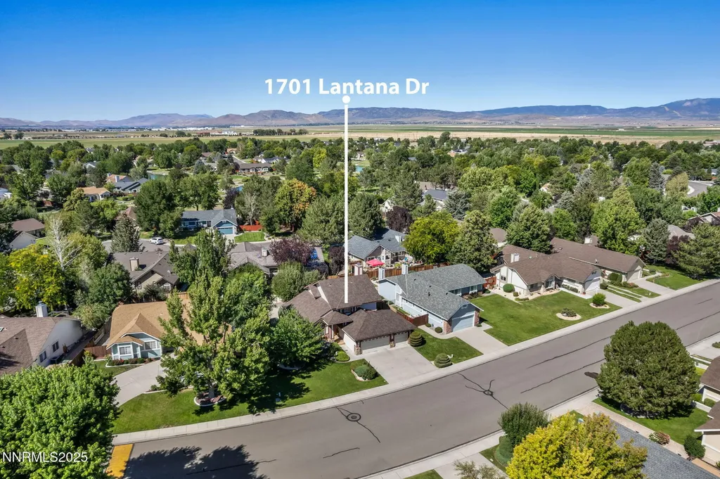 1701 Lantana Minden NV 89423