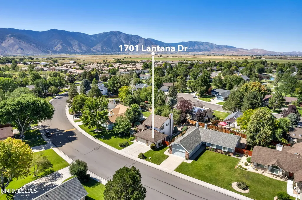1701 Lantana Minden NV 89423