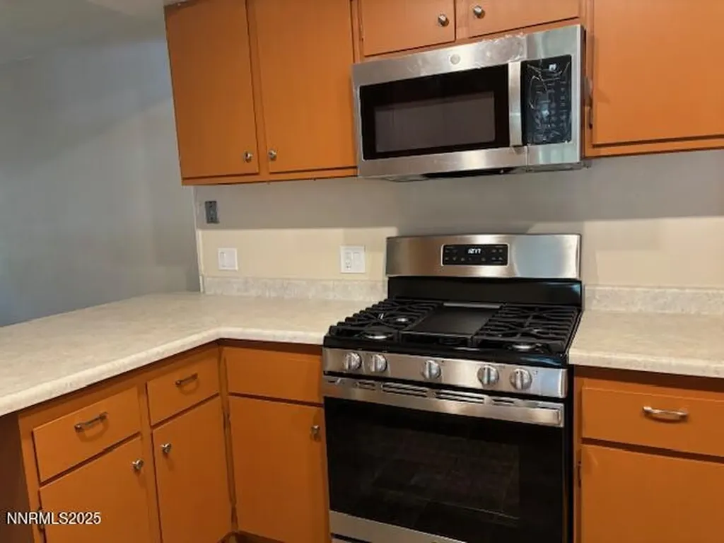 255 Zircon Reno NV 89521