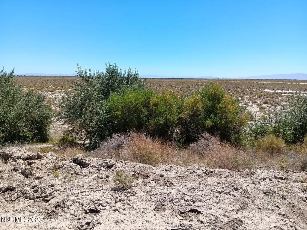 Apn 007-091-71 Casey Road Fallon NV 89406
