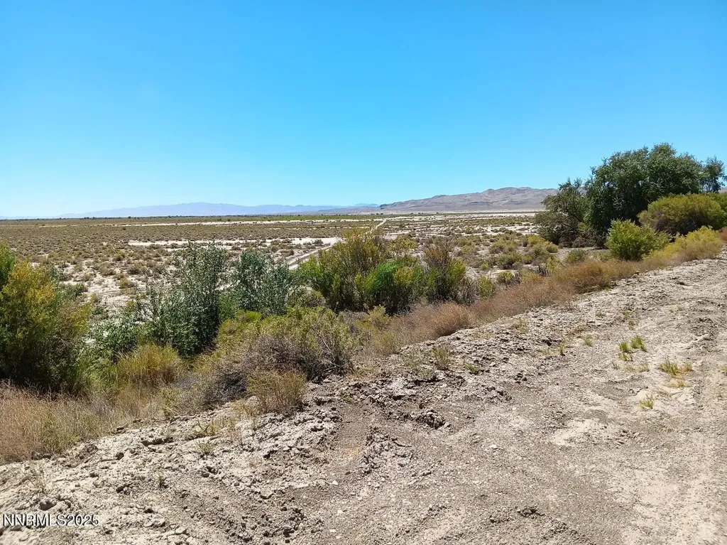 Apn 007-091-75 Casey Road Fallon NV 89406