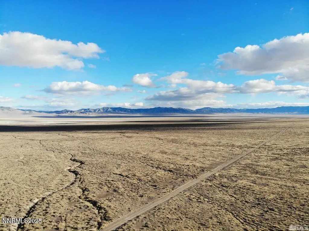01550006 Near Old Emigrant Trail Lovelock NV 89419