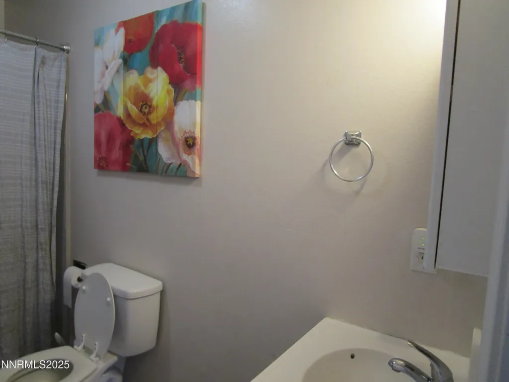 1091 Tiffany Fallon NV 89406