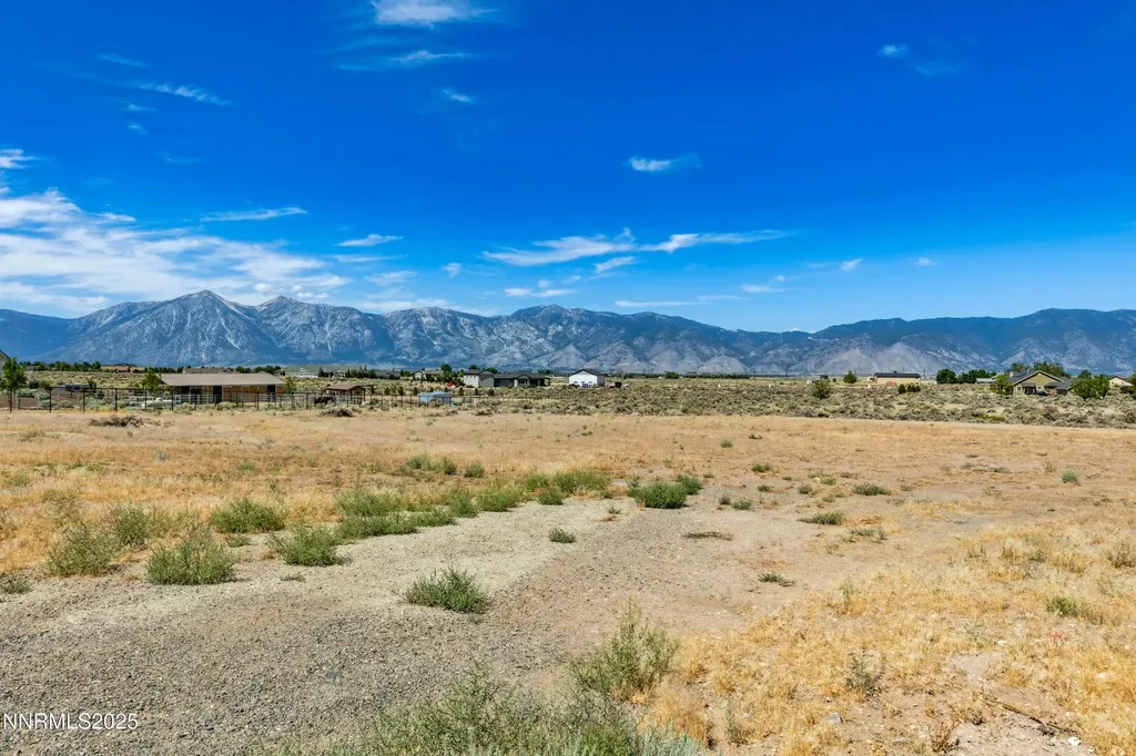 1770 Coyote Minden NV 89423