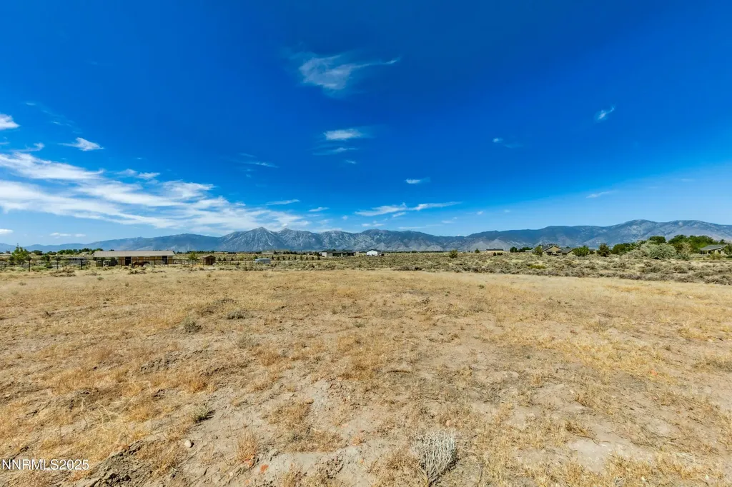 1770 Coyote Minden NV 89423