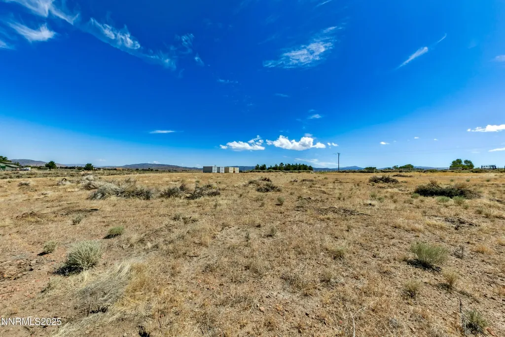 1770 Coyote Minden NV 89423