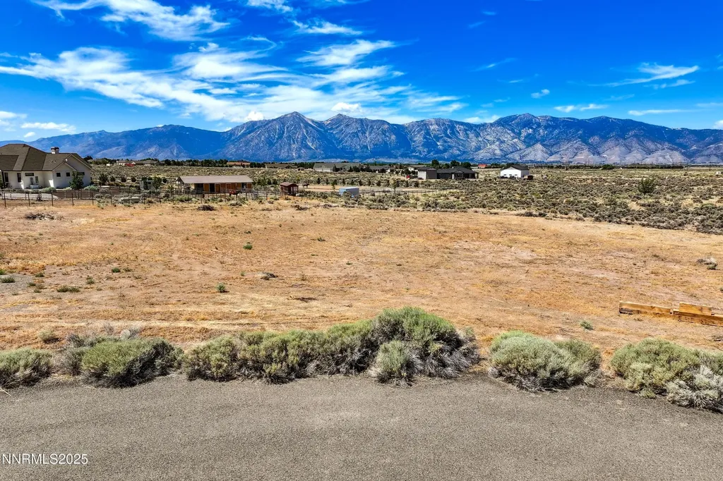 1770 Coyote Minden NV 89423