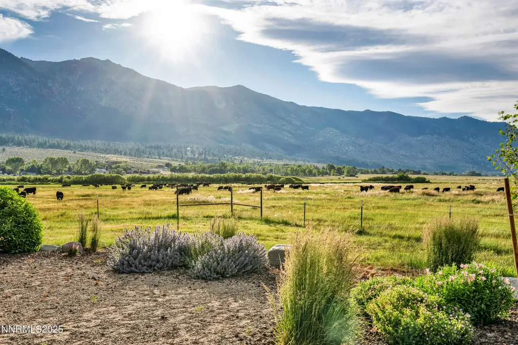 600 Artemesia Gardnerville NV 89460