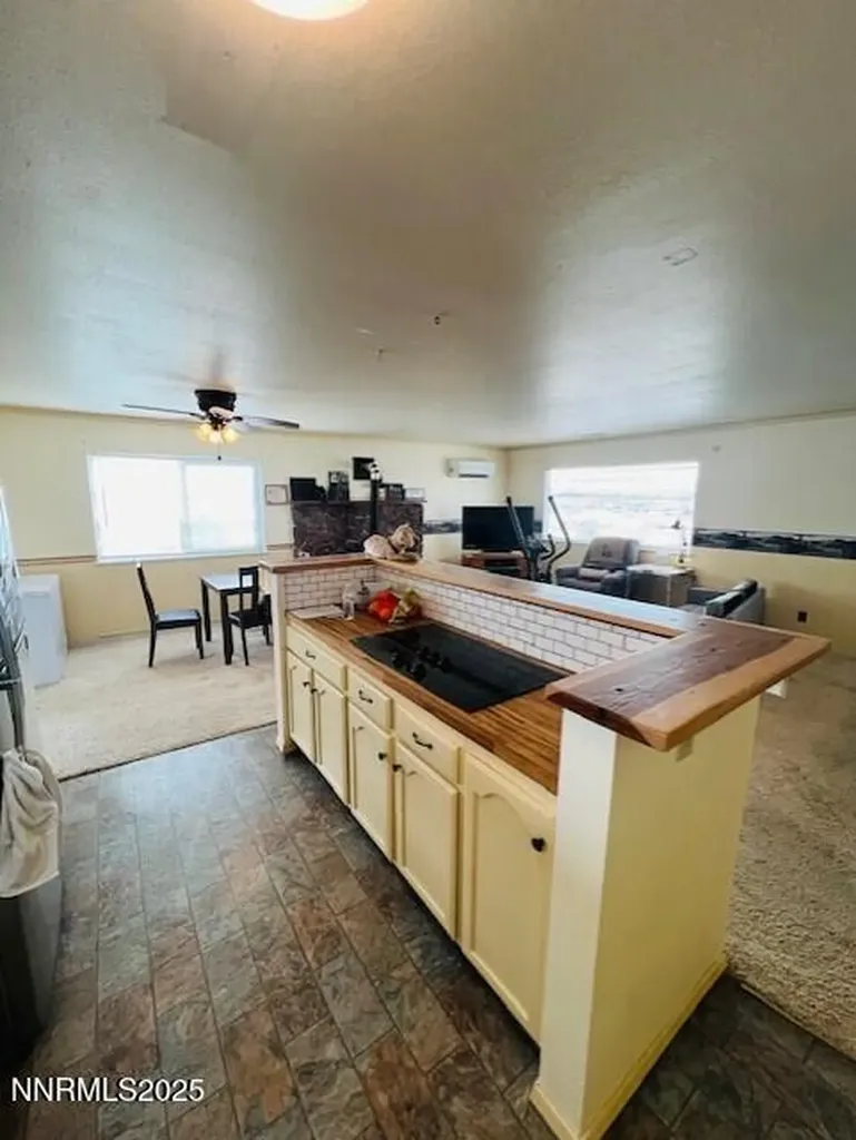 3825 Keyes Fallon NV 89406