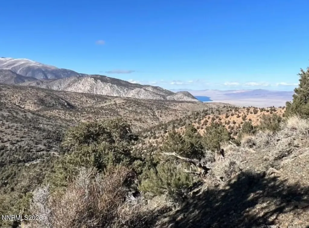 Apn 00665121 Hawthorne NV 89415