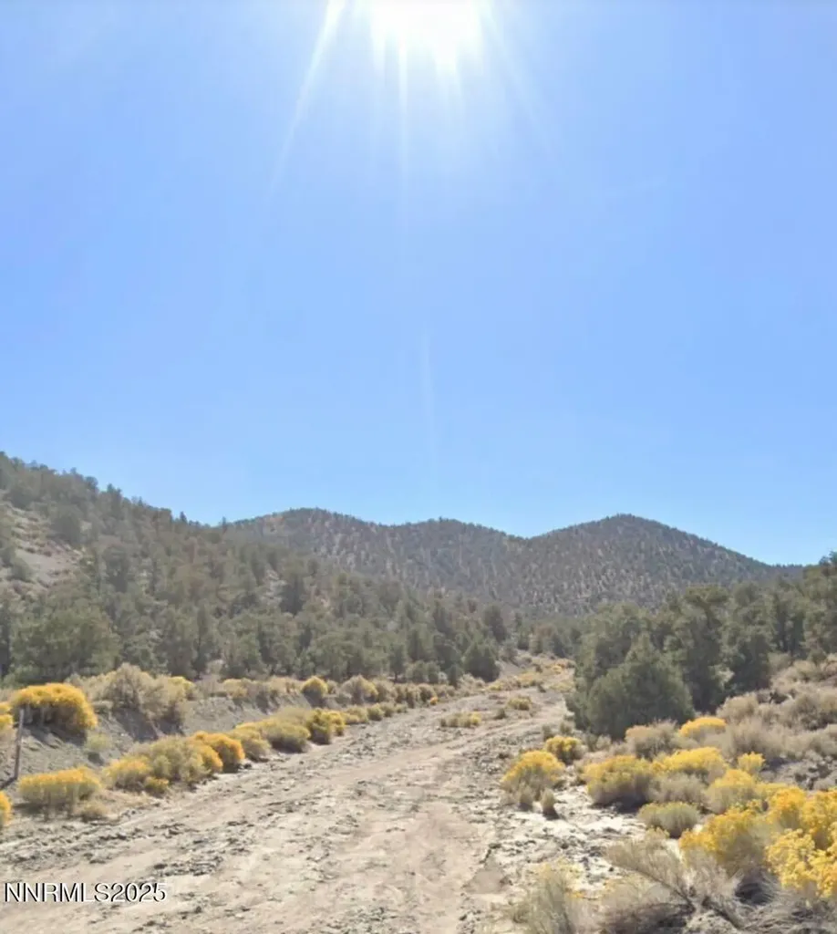Apn 00665121 Hawthorne NV 89415