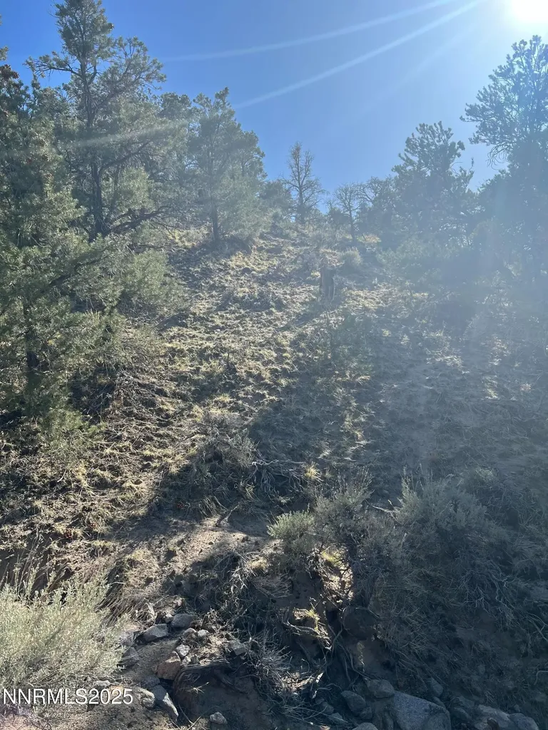 Apn 00665121 Hawthorne NV 89415
