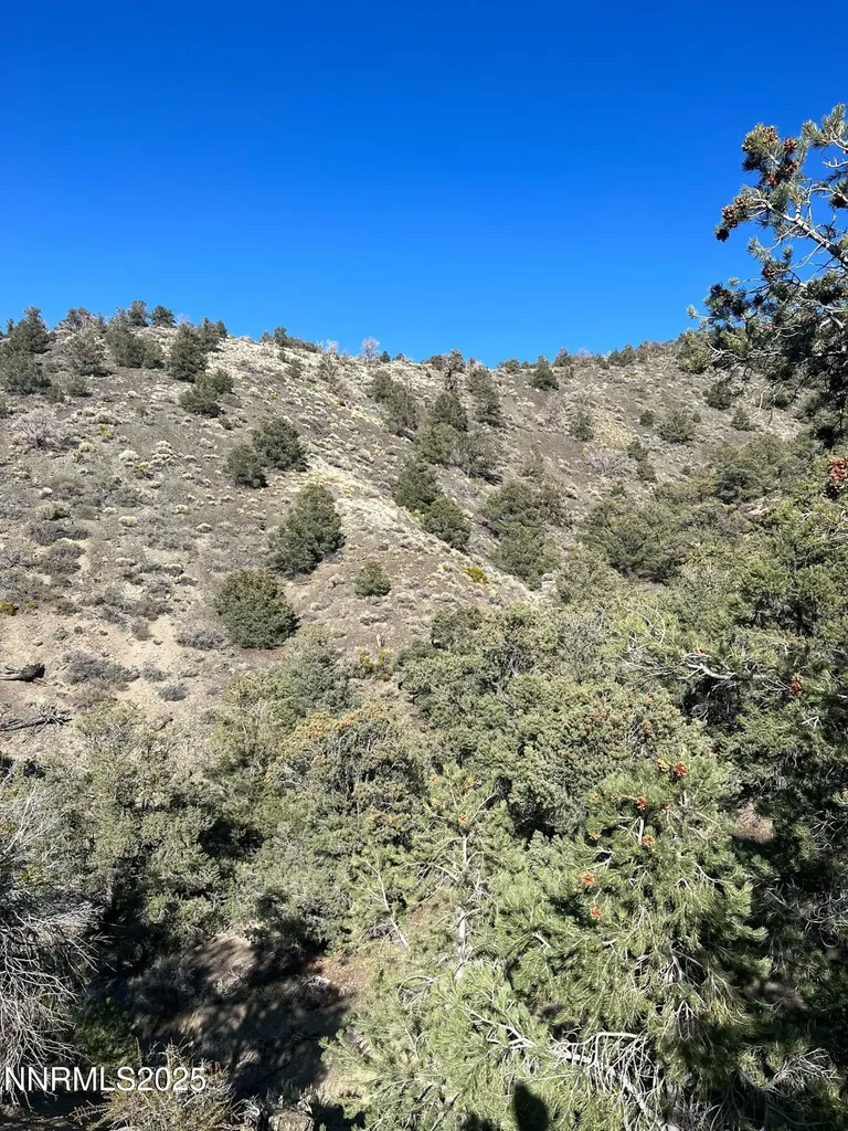 Apn 00665121 Hawthorne NV 89415