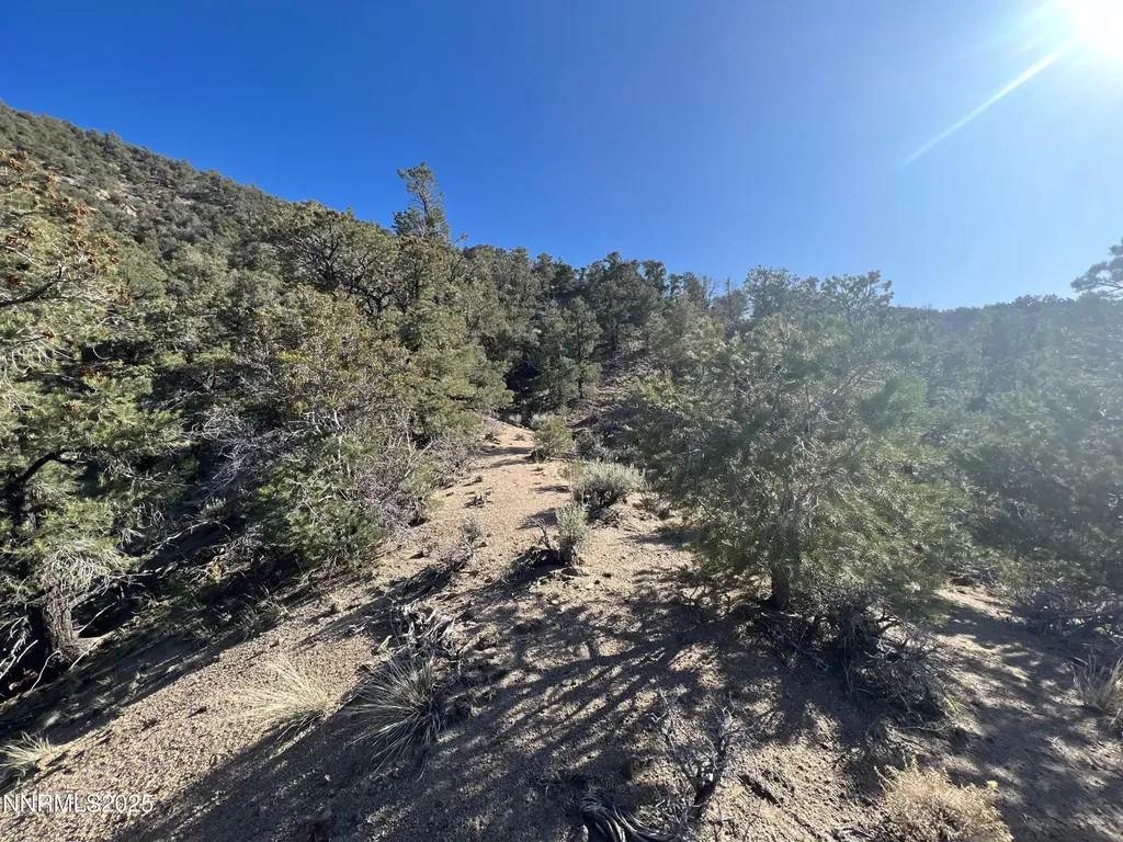 Apn 00665121 Hawthorne NV 89415