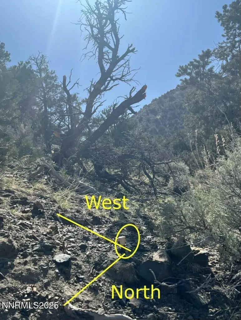 Apn 00665121 Hawthorne NV 89415