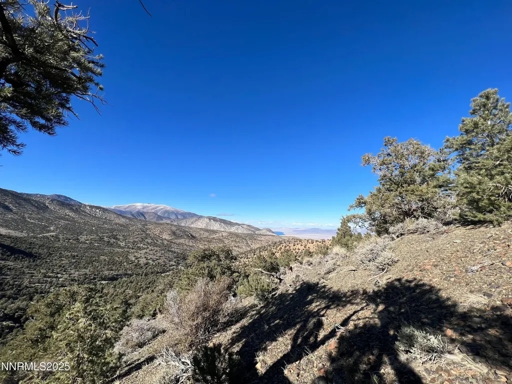 Apn 00665121 Hawthorne NV 89415