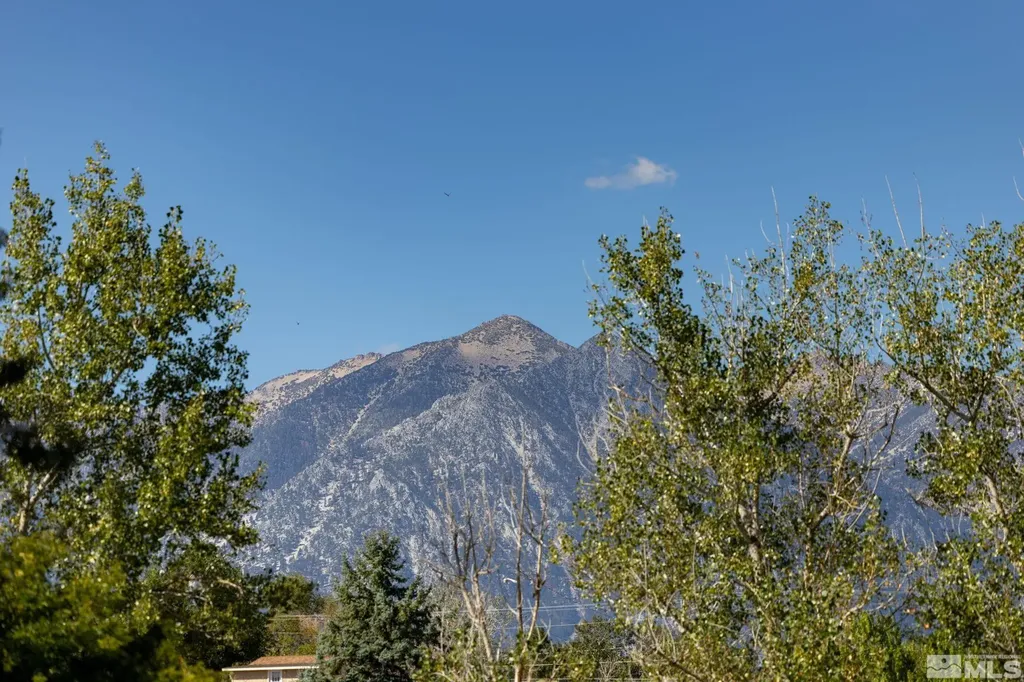 1580 Fifth Green Gardnerville NV 89460