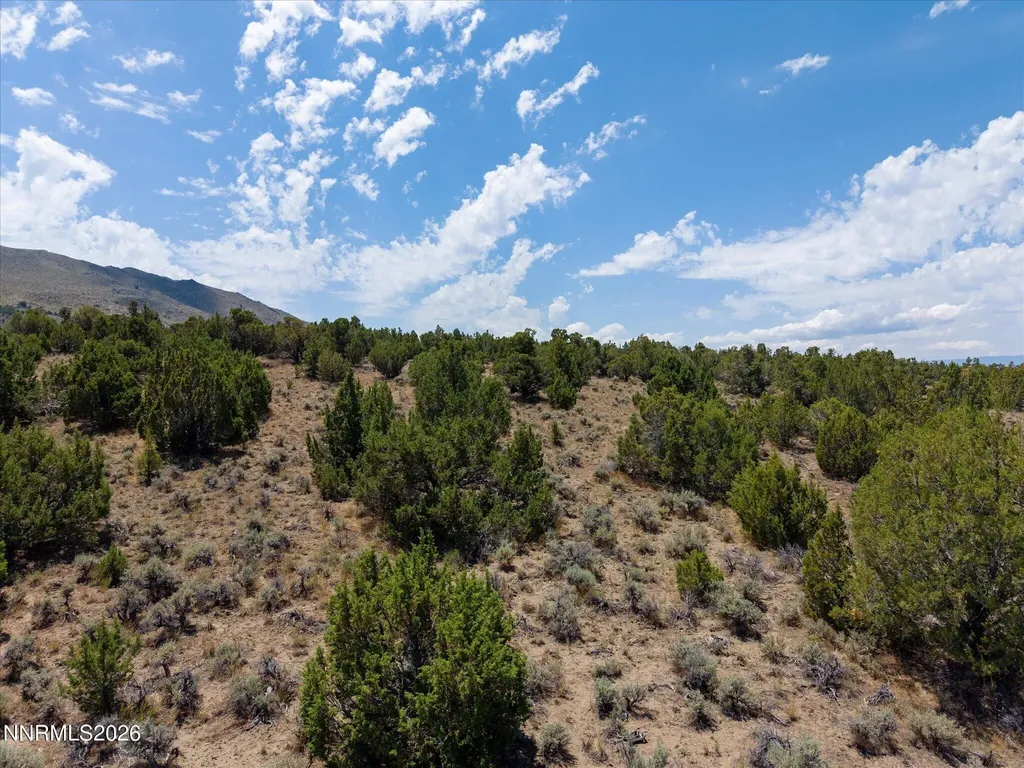 1230 Deerlodge Reno NV 89508