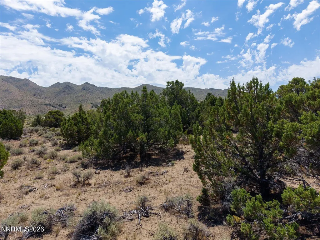 1230 Deerlodge Reno NV 89508
