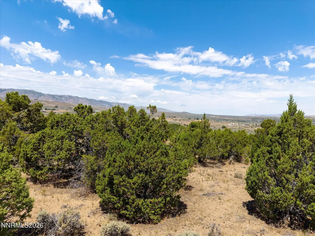 1230 Deerlodge Reno NV 89508