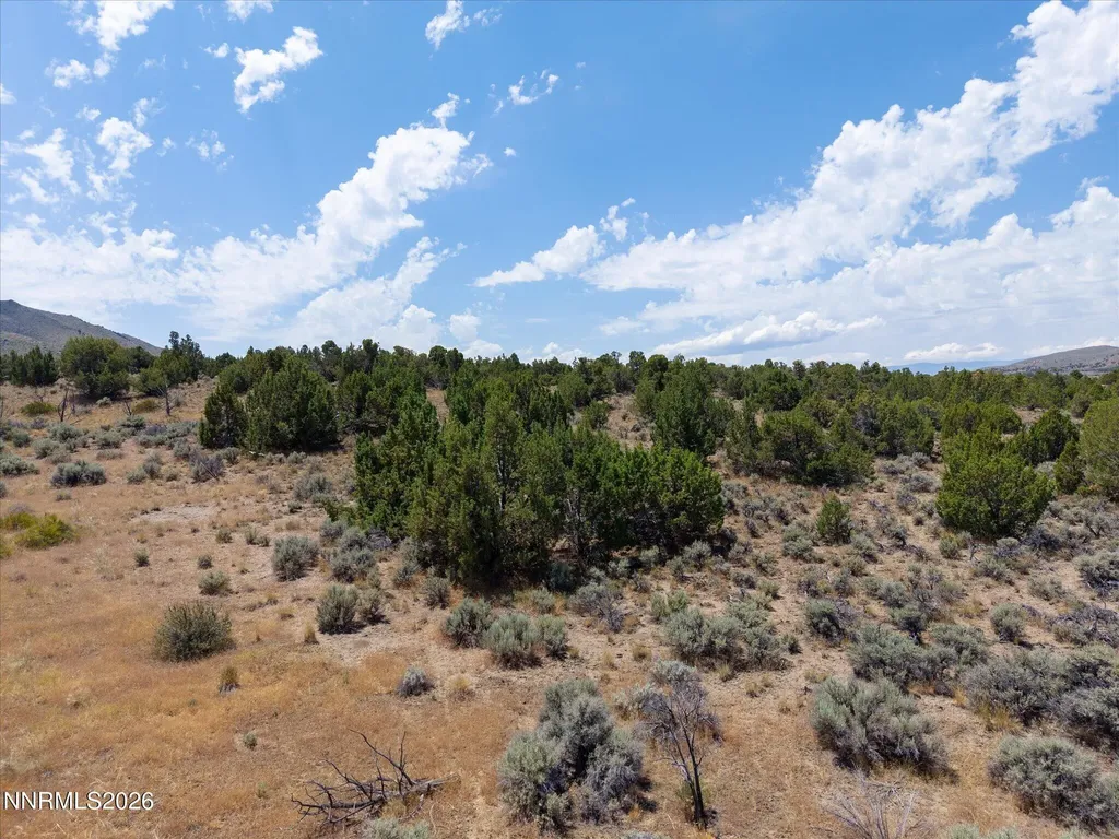1230 Deerlodge Reno NV 89508