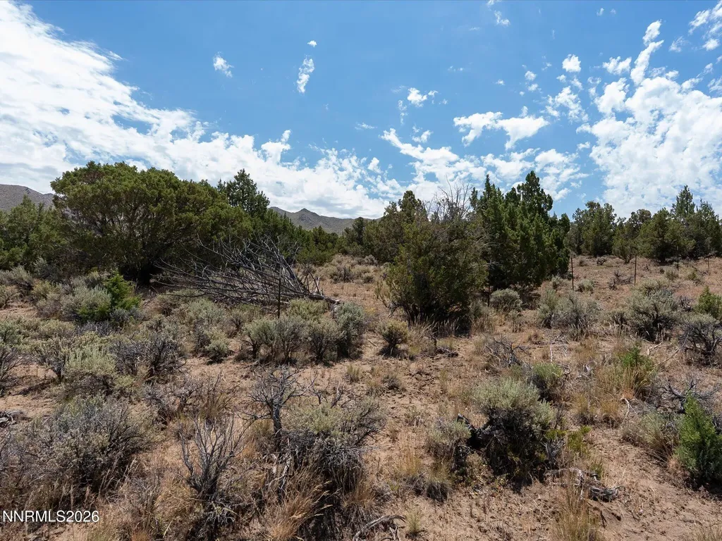 1230 Deerlodge Reno NV 89508