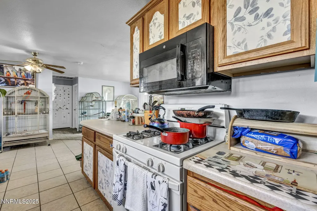 687 Douglas Fallon NV 89406