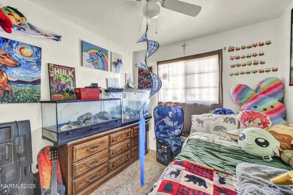 687 Douglas Fallon NV 89406