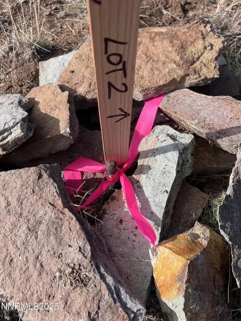 1505 Appian Reno NV 89510