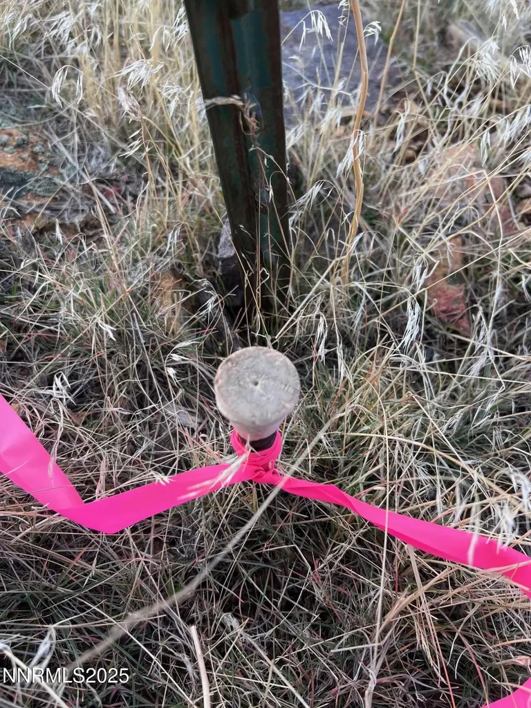 1505 Appian Reno NV 89510