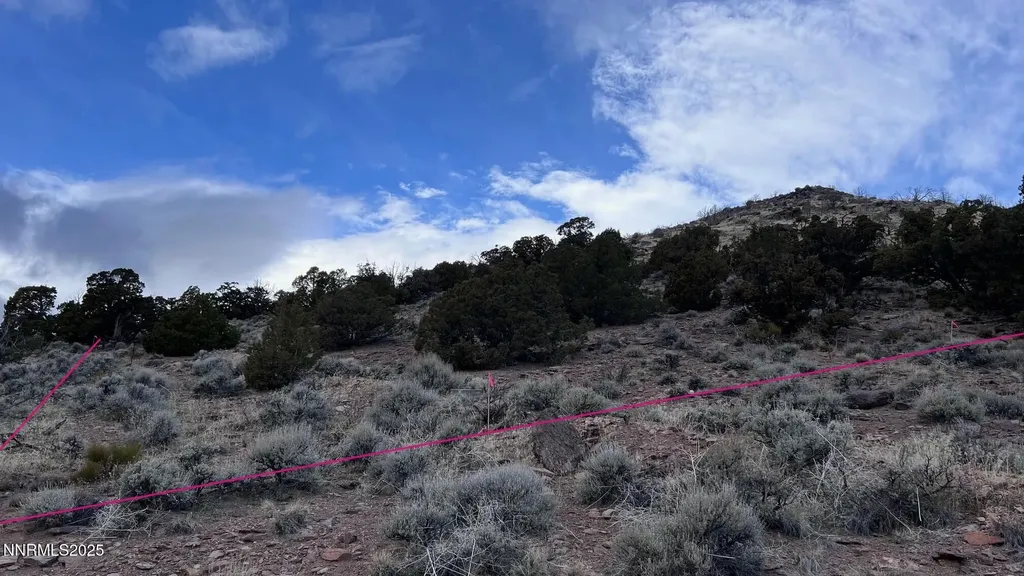 1505 Appian Reno NV 89510