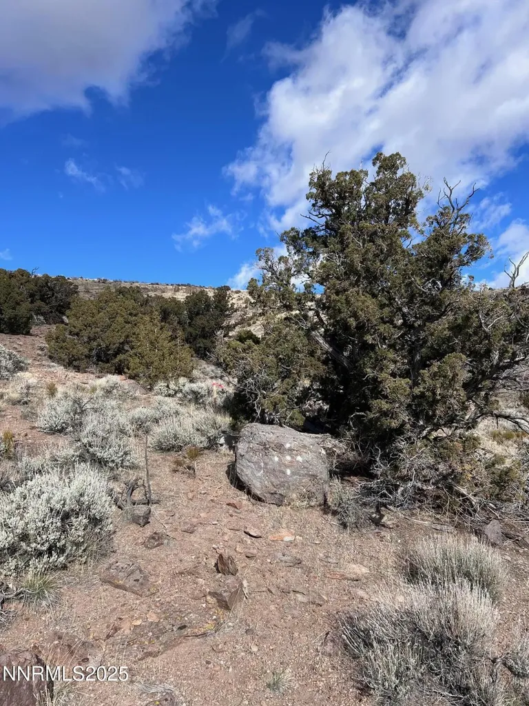 1505 Appian Reno NV 89510
